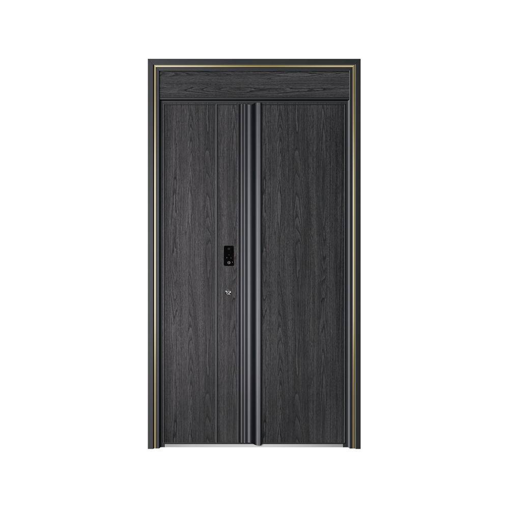 T系列恩菜特ELITE