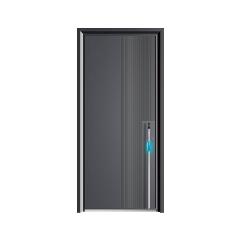 T系列卓拉-ZHORAH